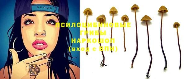 амфетамин Горнозаводск