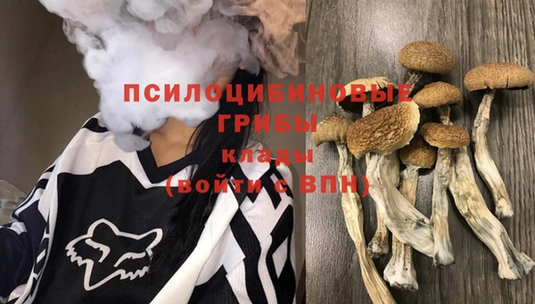амфетамин Горнозаводск