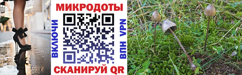 Галлюциногенные грибы Cubensis  Купить закладки  Невьянск 